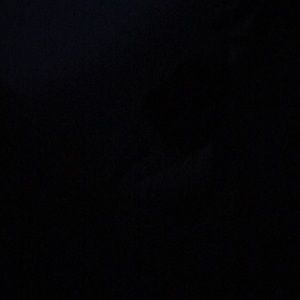 Meet your Posher, Summer